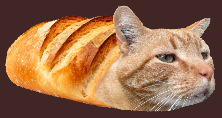 loaf cat