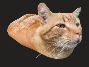 cat loaf